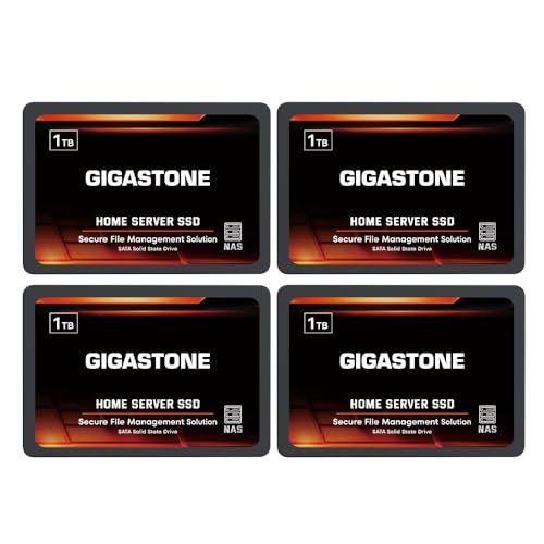 Gigastone Home NAS SSD 1TB (4er-Pack) 24/7 Dauerhaft TLC Hohe Dauerhaltbarkeit Persönlicher Server Cloud Datenspeicher RAID 3D NAND 2,5 Zoll SATA III Interne Solid State Festplatten von Gigastone