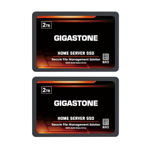 Gigastone Home NAS SSD 2TB (2er-Pack) 24/7 Dauerhaft TLC Hohe Dauerhaltbarkeit Persönlicher Server Cloud Datenspeicher RAID 3D NAND 2,5 Zoll SATA III Interne Solid State Festplatten von Gigastone
