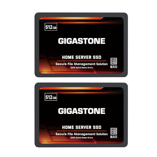 GIGASTONE Home NAS SSD 512GB (2er-Pack) 24/7 Dauerhaft TLC Hohe Dauerhaltbarkeit Persönlicher Server Cloud Datenspeicher RAID 3D NAND 2,5 Zoll SATA III Interne Solid State Festplatten von Gigastone