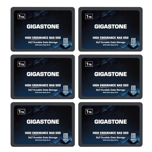 Gigastone NAS SSD 1TB SSD Festplatte (6er-Pack) TLC Hohe Dauerhaltbarkeit SSD für 24/7 Dauerbetrieb NAS-Systeme RAID 2,5 Zoll SATA III Internes Festkörper-Laufwerk NAS Caching von Gigastone