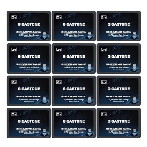 Gigastone NAS SSD 2TB SSD Festplatte (12er-Pack) TLC Hohe Dauerhaltbarkeit SSD für 24/7 Dauerbetrieb NAS-Systeme RAID 2,5 Zoll SATA III Internes Festkörper-Laufwerk NAS Caching von Gigastone