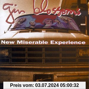New Miserable Experience von Gin Blossoms