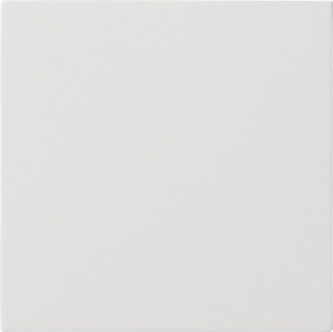 Gira Bedienaufsatz rws 5360112 Gira Bedienaufsatz rws 5360112 von Gira