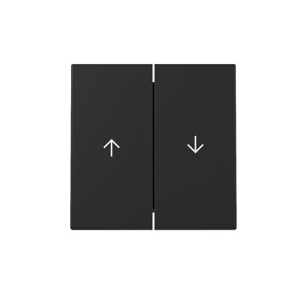 Gira Wippe 2f Pfeil 3294005 Gira Wippe 2f Pfeil 3294005 von Gira