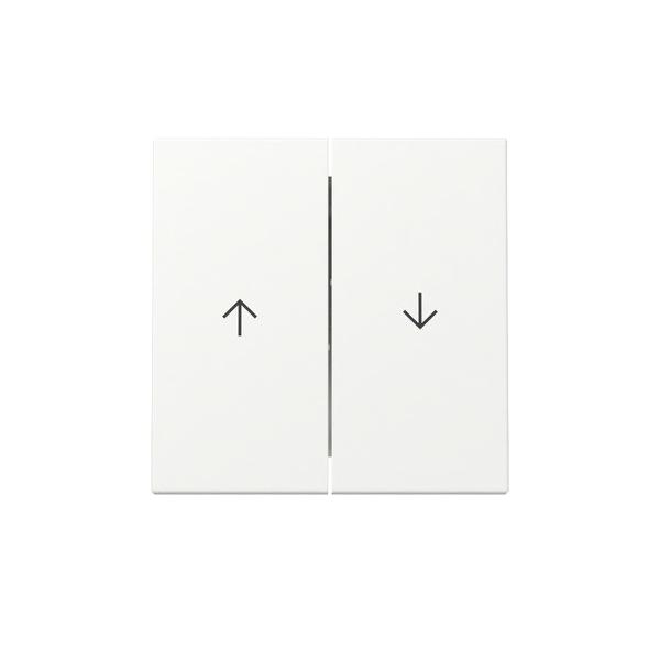 Gira Wippe 2f Pfeil 329427 Gira Wippe 2f Pfeil 329427 von Gira