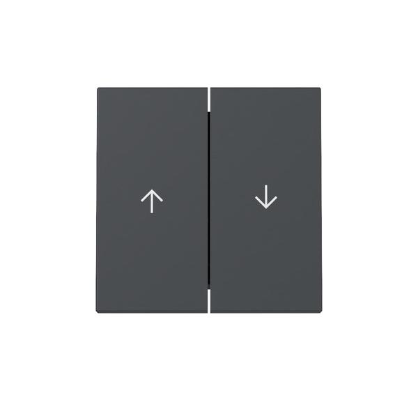 Gira Wippe 2f Pfeil 329428 Gira Wippe 2f Pfeil 329428 von Gira
