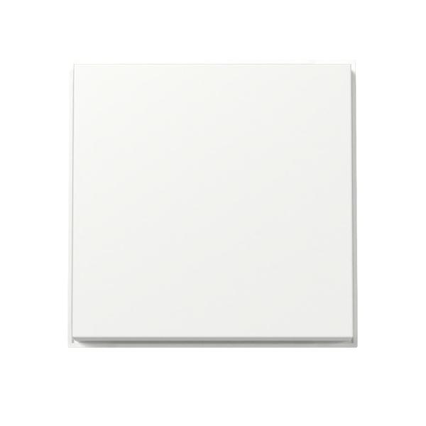 Gira Wippe 329666 von Gira