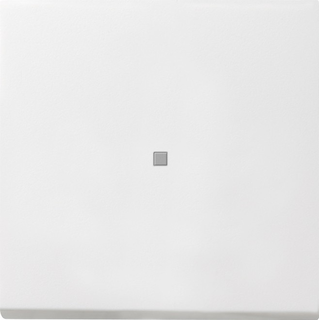 Gira Wippe Kontroll. rws-gl 0290112 Gira Wippe Kontroll. rws-gl 0290112 von Gira