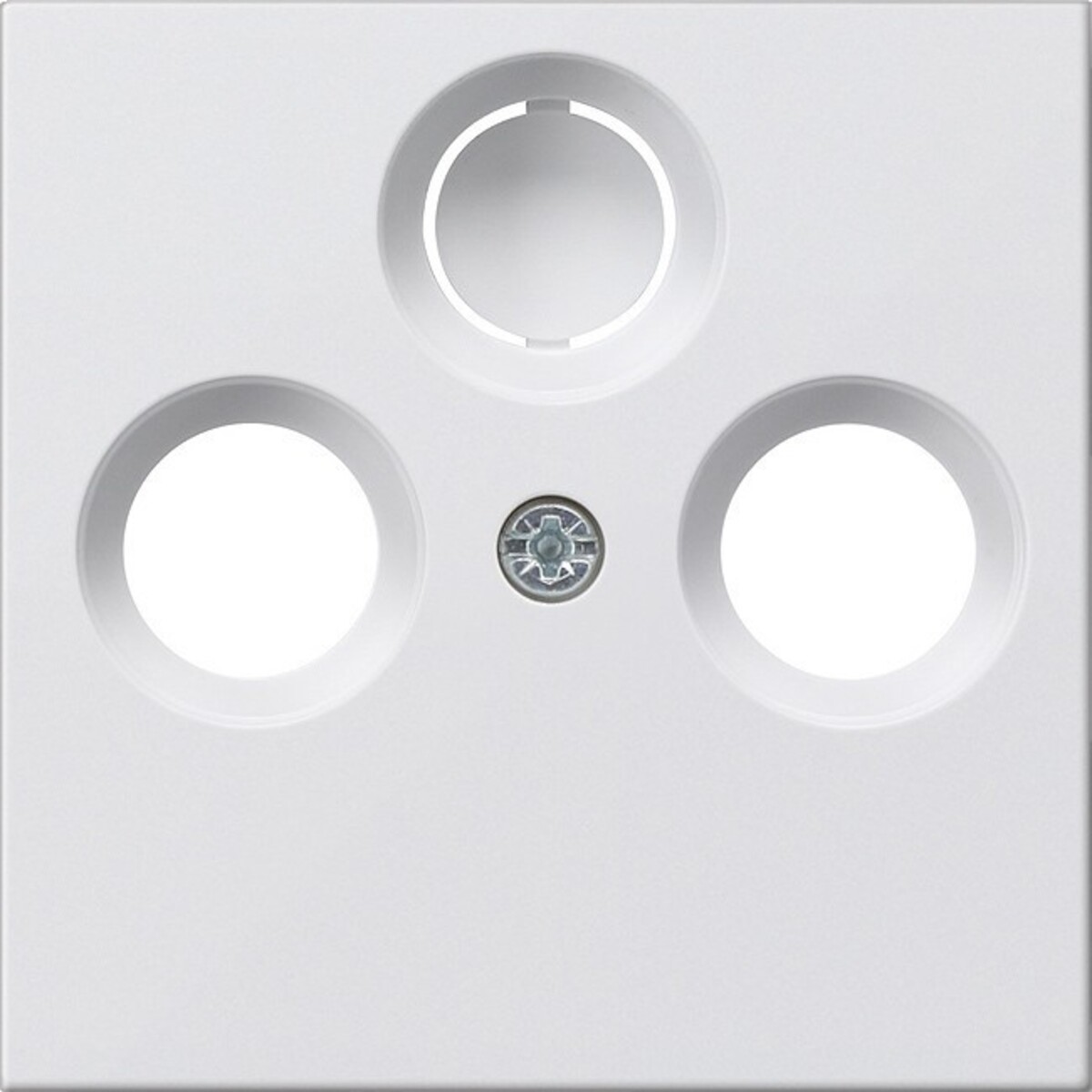 Gira Zentralplatte rws-gl 086903 Gira Zentralplatte rws-gl 086903 von Gira