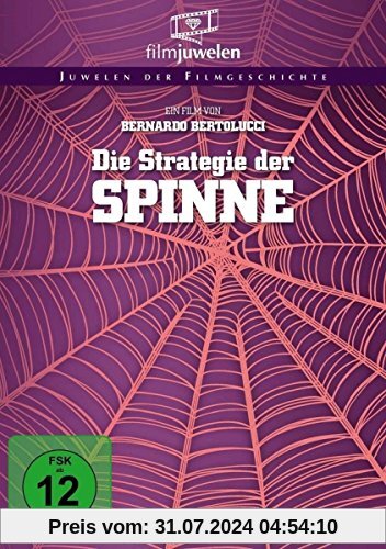 Die Strategie der Spinne (Filmjuwelen) [DVD] von Giulio Brogi