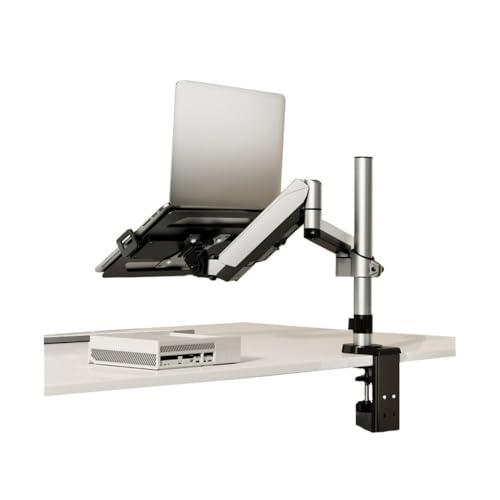 Monitorhalterung Schreibtisch, 2-in-1-Laptop-Tischhalterung mit Ablage for 17-32-Zoll-Monitore und 12-17-Zoll-Laptops, hält 19,8 lbs, voll Verstellbarer Laptop-Tischarm mit Klemm-/Tüllenbasis, Stabil Monitorhalterung Schreibtisch, 2-in-1-Laptop-Tischhalterung mit Ablage for 17-32-Zoll-Monitore und 12-17-Zoll-Laptops, hält 19,8 lbs, voll Verstellbarer Laptop-Tischarm mit Klemm-/Tüllenbasis, Stabil von Glamour Haven
