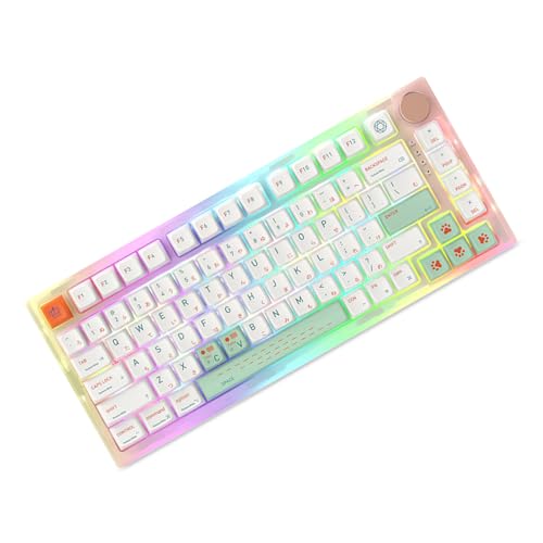 Glanhbnol Qingyan Tastenkappen 139 Tasten Klasse MDA Höhe PBT Sublimation Mechanische Tastaturkappen Für Büro Gaming Tastatur MDA Profil Tastenkappen Pbt von Glanhbnol