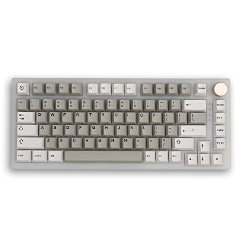 Gliging 121 Tasten Weiß Grau Tastenkappen Cherry Profile Doubleshot Keycap Geeignet für 61/64/84/87 Cherry MX Switch Mechanische Tastatur von Gliging