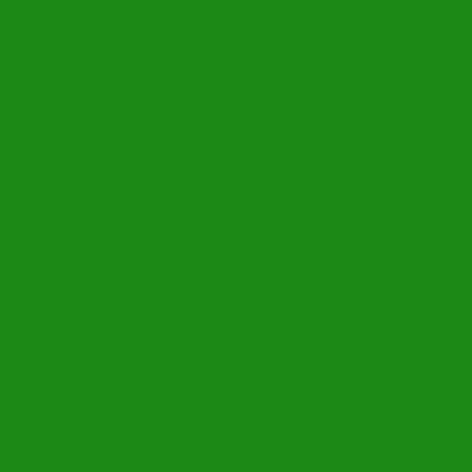 25 einwandige Karteikarten 220gr/m2 Format 70x100 Farbe hellgrün 25 einwandige Karteikarten 220gr/m2 Format 70x100 Farbe hellgrün von Glooke Selected