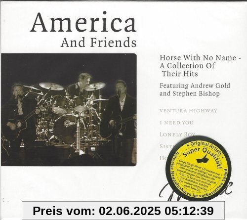 America and Friends America and Friends von Gloria Gaynor