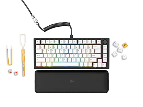 Glorious GMMK Pro Prebuilt Black - Mechanische Tastatur - ANSI/USA Layout - Fox Linear Switch - GPBT White Keycaps - High Profile Dichtung montiert Prebuilt Premium RGB 75% Tastatur (erneuert) von Glorious