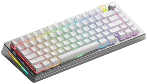 Glorious Gaming GMMK 3 PRO HE: Drahtlose Tastatur mit Rapid Trigger, Hall-Effekt, Aluminiumgehäuse, 8K-Abrufrate, Hot-Swap (MX- & HE-Schalter), anpassbare Auslösung, TKL 75%, USA QWERTY - Silber von Glorious PC Gaming Race