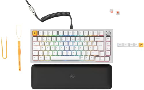 Glorious Gaming GMMK PRO 75% – Modulares mechanisches Gaming-Keyboard, TKL, Grundgerüst 1,5 kg, voll anpassbar, Spiralkabel, Handgelenkablage, PBT-Tastenkappen, Deutsch QWERTZ Layout - Weiß von Glorious