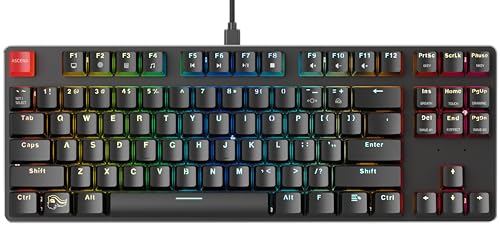 Glorious Gaming GMMK TKL (85%) – Mechanisches Gaming-Keyboard, Gateron Brown Schalter (taktil), Doubleshot-Kappen, RGB, Hot-Swap & anpassbar, TKL-Design, Amerikanisch QWERTY Layout - Schwarz von Glorious