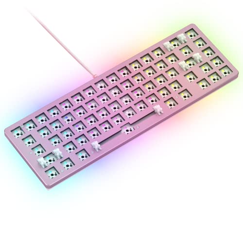 Glorious Gaming Keyboard,GMMK 2 Hot Swappable TKL Mechanische Tastatur, kabelgebunden, benutzerdefinierte Tastatur,Premium Barebones,Kompakte 65% Tastatur (Rosa RGB-Tastatur) von Glorious