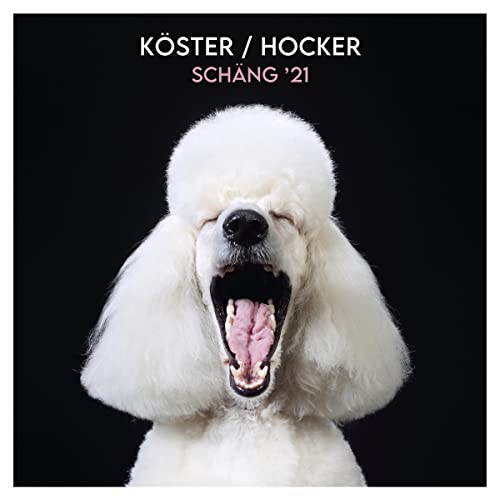 Schäng '21 (7 Inch) [Vinyl Single] von Gmo the Label (Alive)