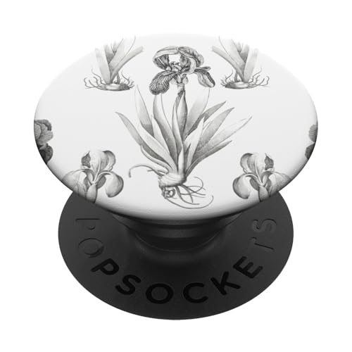 Botanisches Linienmuster mit Frühlingsblüten PopSockets Klebender PopGrip Botanisches Linienmuster mit Frühlingsblüten PopSockets Klebender PopGrip von Gnosis Picture Archive