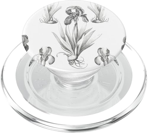 Botanisches Linienmuster mit Frühlingsblüten PopSockets PopGrip für MagSafe von Gnosis Picture Archive