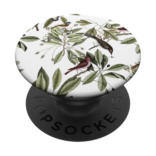 Natur-Design mit Vögeln auf Ästen PopSockets Klebender PopGrip von Gnosis Picture Archive