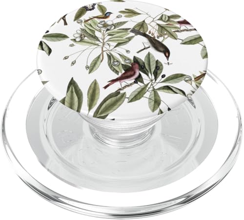 Natur-Design mit Vögeln auf Ästen PopSockets PopGrip für MagSafe von Gnosis Picture Archive