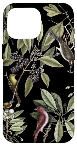 Natur-Design mit Vögeln auf Magnolien-Zweigen Hülle für iPhone 16 Pro Max Natur-Design mit Vögeln auf Magnolien-Zweigen Hülle für iPhone 16 Pro Max von Gnosis Picture Archive
