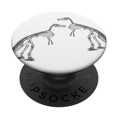 Trex Dinosaurier-Skelett-Zeichnungen PopSockets Klebender PopGrip Trex Dinosaurier-Skelett-Zeichnungen PopSockets Klebender PopGrip von Gnosis Picture Archive
