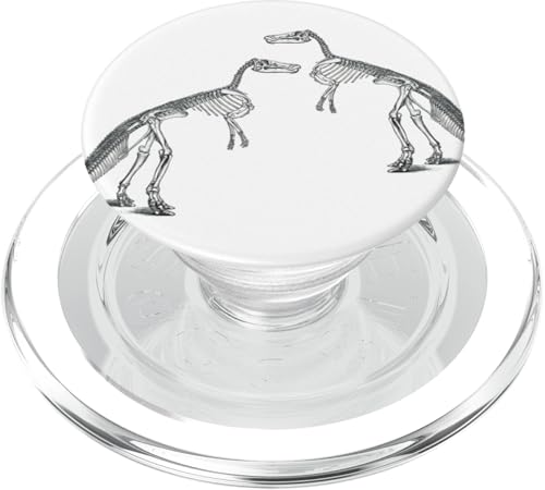 Trex Dinosaurier-Skelett-Zeichnungen PopSockets PopGrip für MagSafe von Gnosis Picture Archive