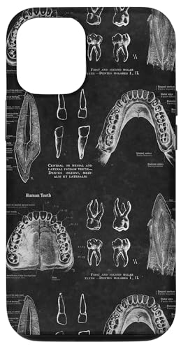 Zahnthema Vintage menschliche Zähne Anatomie Grafik Hülle für iPhone 12/12 Pro Zahnthema Vintage menschliche Zähne Anatomie Grafik Hülle für iPhone 12/12 Pro von Gnosis Picture Archive