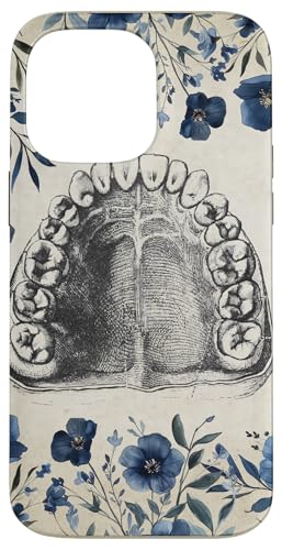 Zahnthema Vintage menschliche Zähne Anatomie Grafik Hülle für iPhone 14 Pro Max von Gnosis Picture Archive