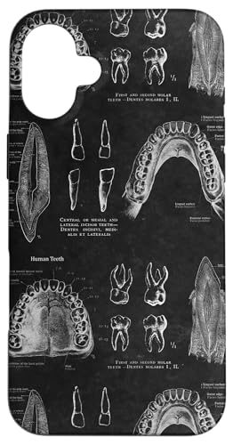 Zahnthema Vintage menschliche Zähne Anatomie Grafik Hülle für iPhone 16 Plus Zahnthema Vintage menschliche Zähne Anatomie Grafik Hülle für iPhone 16 Plus von Gnosis Picture Archive