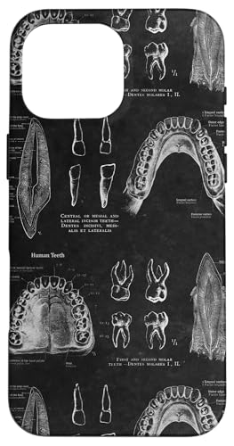 Zahnthema Vintage menschliche Zähne Anatomie Grafik Hülle für iPhone 16 Pro Max Zahnthema Vintage menschliche Zähne Anatomie Grafik Hülle für iPhone 16 Pro Max von Gnosis Picture Archive