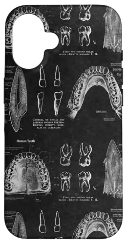 Zahnthema Vintage menschliche Zähne Anatomie Grafik Hülle für iPhone 16 Zahnthema Vintage menschliche Zähne Anatomie Grafik Hülle für iPhone 16 von Gnosis Picture Archive