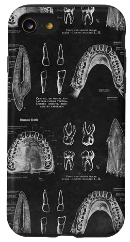 Zahnthema Vintage menschliche Zähne Anatomie Grafik Hülle für iPhone SE (2020) / 7 / 8 von Gnosis Picture Archive