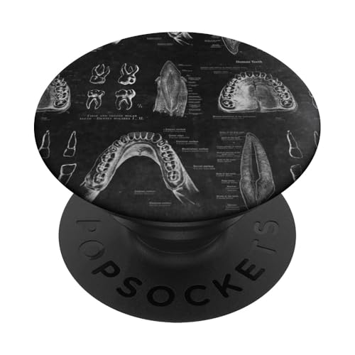 Zahnthema Vintage menschliche Zähne Anatomie Grafik PopSockets Klebender PopGrip Zahnthema Vintage menschliche Zähne Anatomie Grafik PopSockets Klebender PopGrip von Gnosis Picture Archive