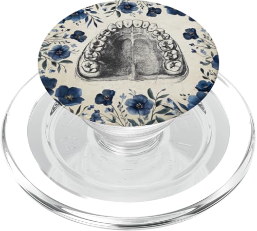 Zahnthema Vintage menschliche Zähne Anatomie Grafik PopSockets PopGrip für MagSafe von Gnosis Picture Archive