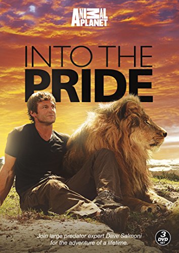 Into The Pride - with Dave Salmoni [DVD] [UK Import] von Go Entertain