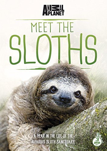 Meet The Sloths [DVD] [UK Import] von Go Entertain