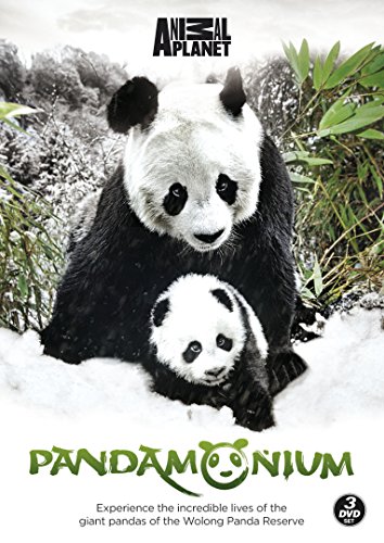 Pandamonium [DVD] von Go Entertain