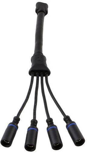 Goal Zero Anderson Power Pole to 4x 8mm von Goal Zero