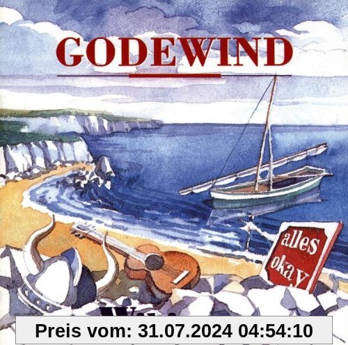 Wikinger von Godewind