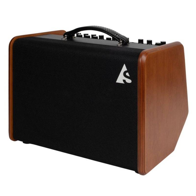 Godin Acoustic Solutions ASG-8 Wood Acoustic Guitar Amplifier von Godin