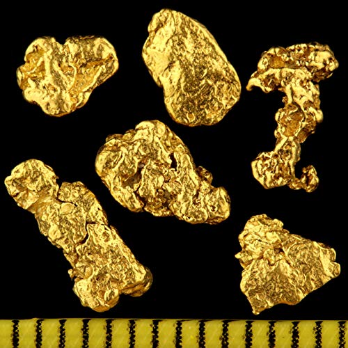 1 Gramm Echte XL Goldnuggets aus Alaska mit Echtheitszertifikat in edler Münzdose von Gold-Fieber