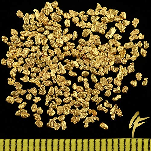 10 Gramm echte Goldnuggets aus Alaska je ca. 1 mm mit Zertifikat Anlage in edler Münzdose von Gold-Fieber
