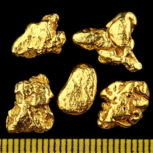 3 Gramm Echte XXL Goldnuggets aus Alaska mit Echtheitszertifikat in edler Münzdose von Gold-Fieber