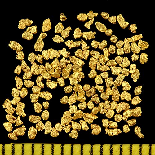 Echte Goldnuggets mit 20-23 Karat aus Alaska inkl. Echtheitszertifikat ! TOP-Wertanlage seltener wie Goldbarren ! Wertiges Geschenk für alle Anlässe. Größe je Nugget 0,5-1 mm (3 Gramm) von Gold-Fieber